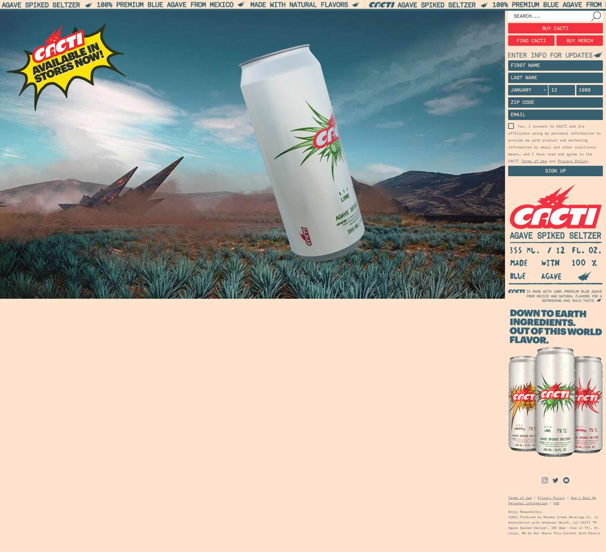 eCommerce website: CACTI