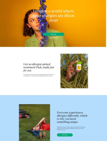 eCommerce website: Picnic