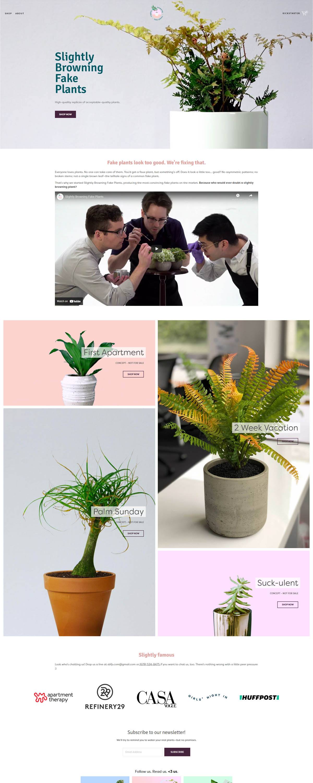 eCommerce website: Slightly Browning Fake Plants