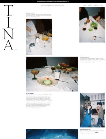 eCommerce website: TINA Drinks