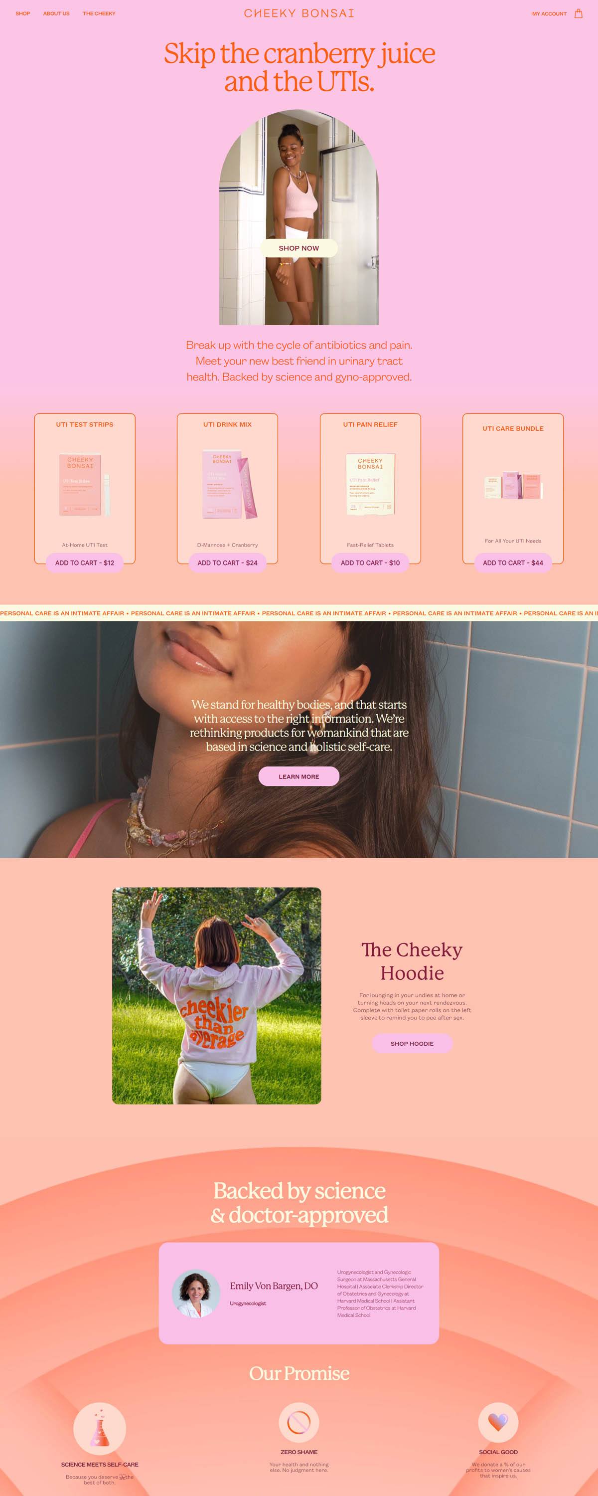 eCommerce website: Cheeky Bonsai