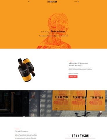 eCommerce website: Tenneyson