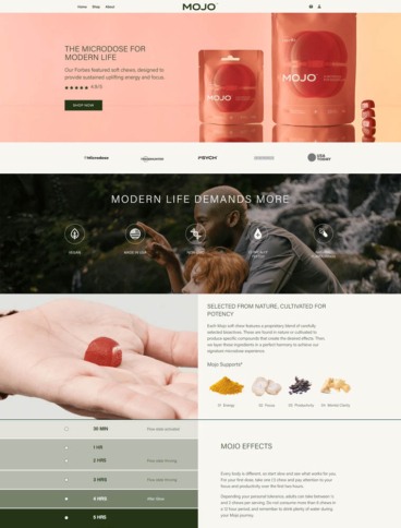 eCommerce website: Mojo