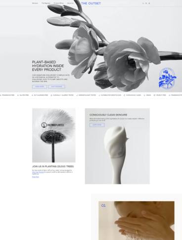 eCommerce website: The Outset