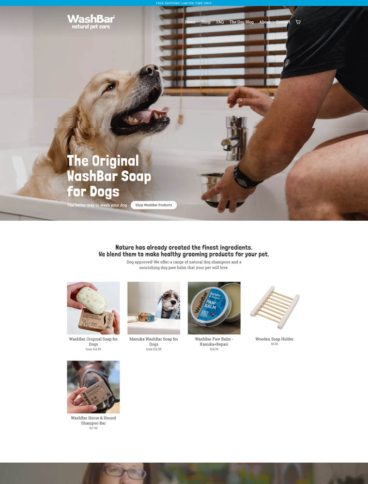 eCommerce website: Washbar