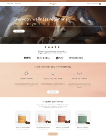 eCommerce website: Reggie