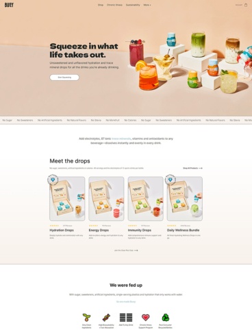eCommerce website: Buoy