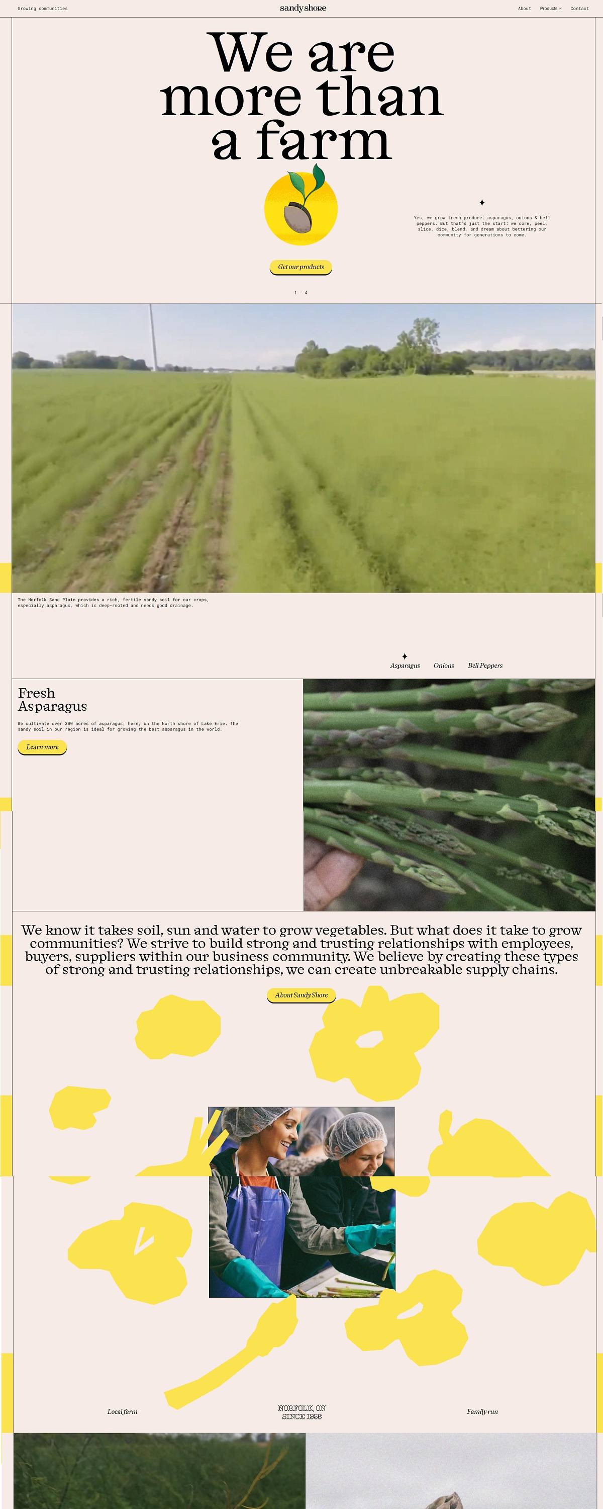 eCommerce website: Sandy Shore