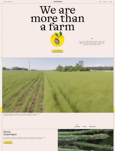 eCommerce website: Sandy Shore