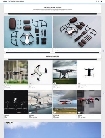 eCommerce website template: Modules Shopify Theme