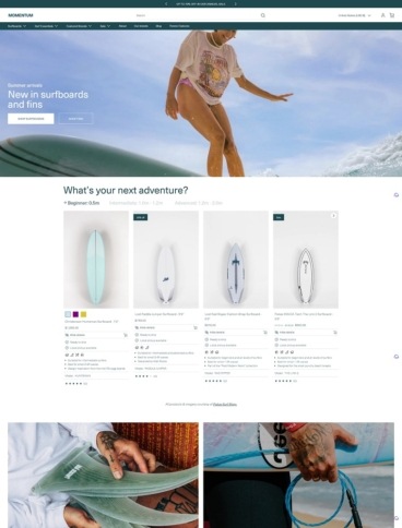 eCommerce website template: Momentum