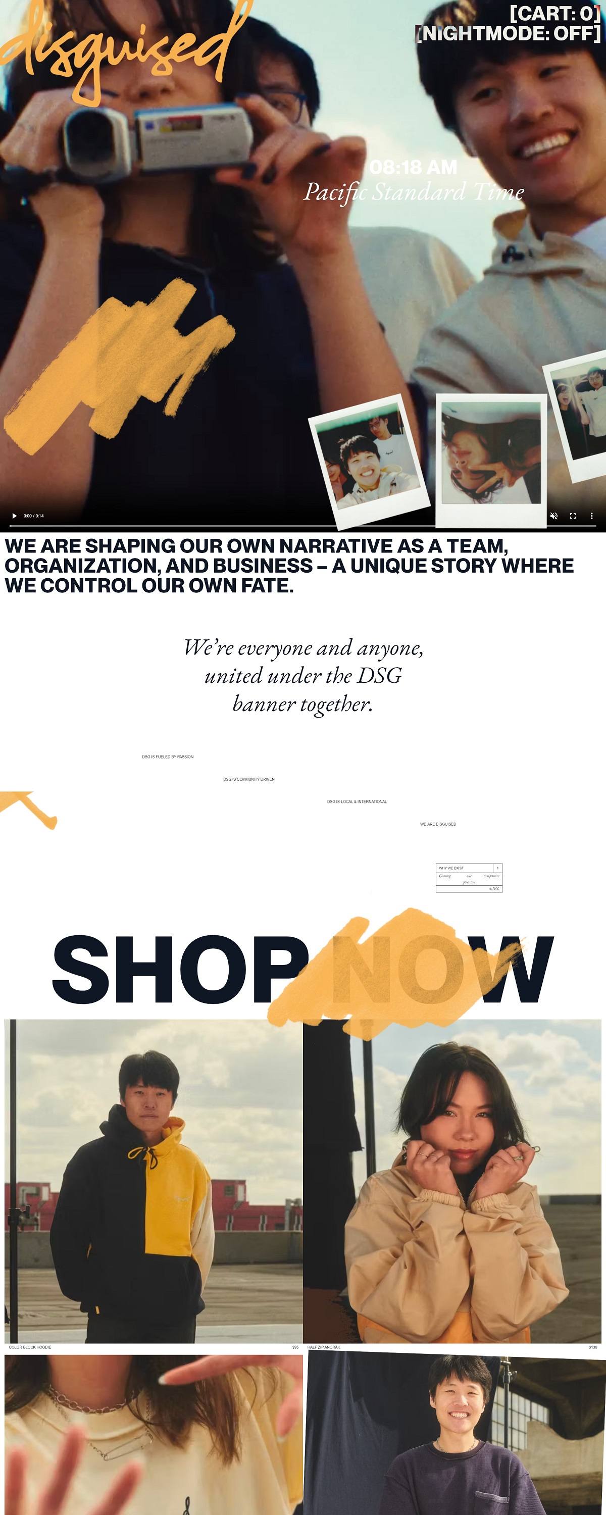 eCommerce website: Disguised