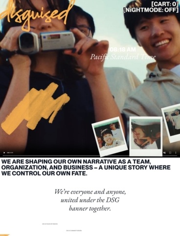 eCommerce website: Disguised