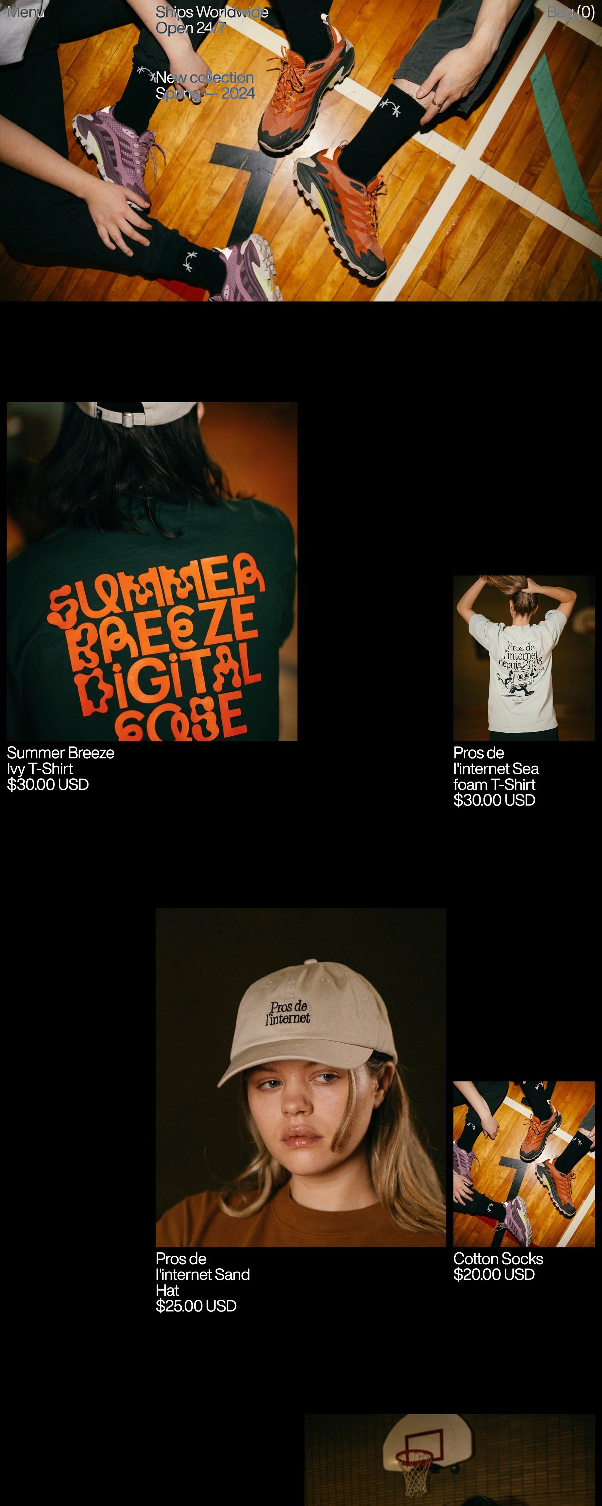 eCommerce website: Locomotive Store