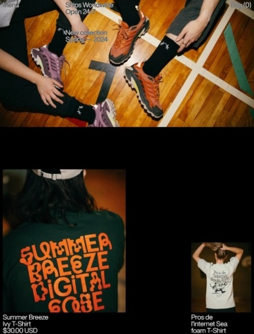 eCommerce website: Locomotive Store