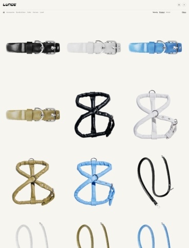 eCommerce website: Lunge