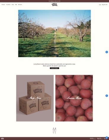 eCommerce website: Lovely Bunch