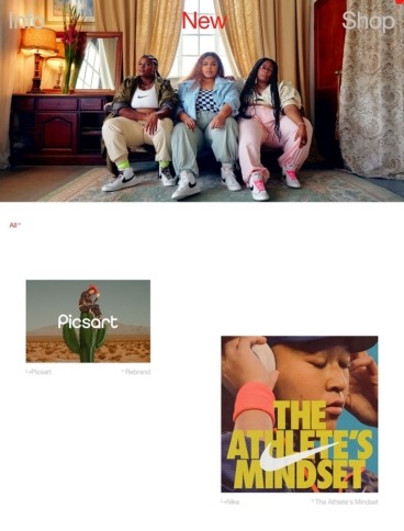 eCommerce website: The New Company