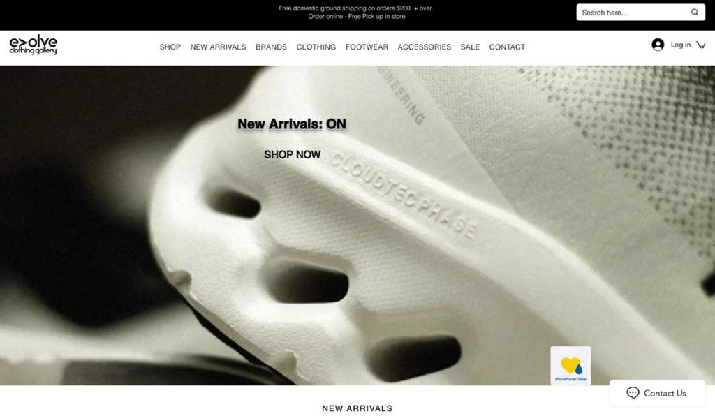 Evolve best wix ecommerce website designs