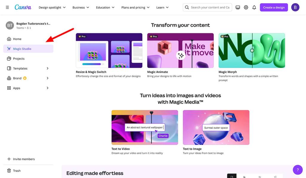 canva magic ai features