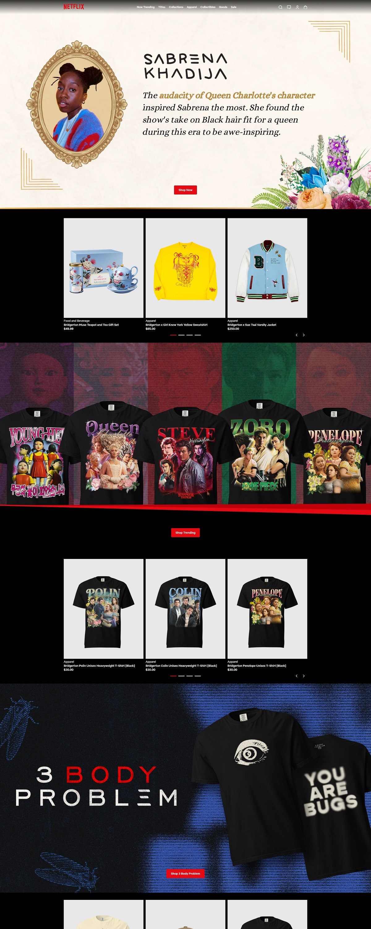 eCommerce website: Netflix Shop