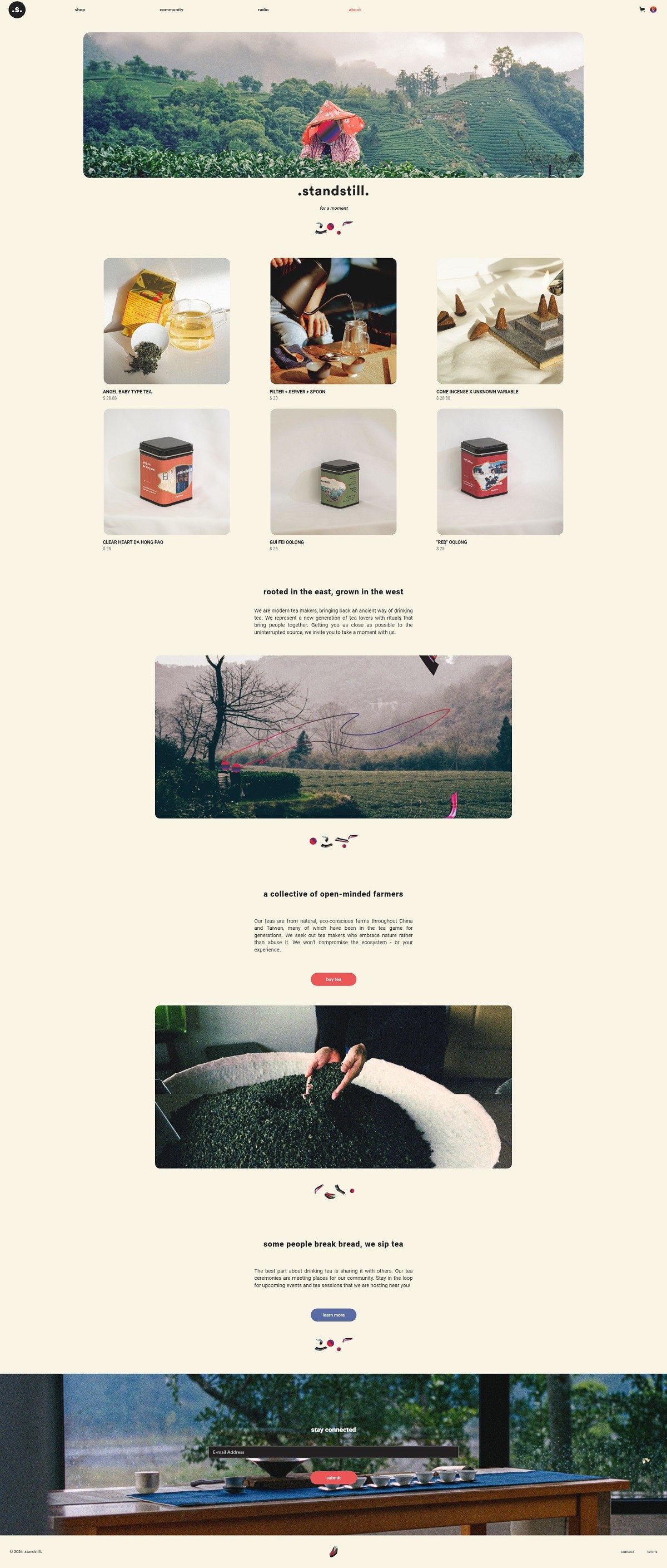 eCommerce website: standstill