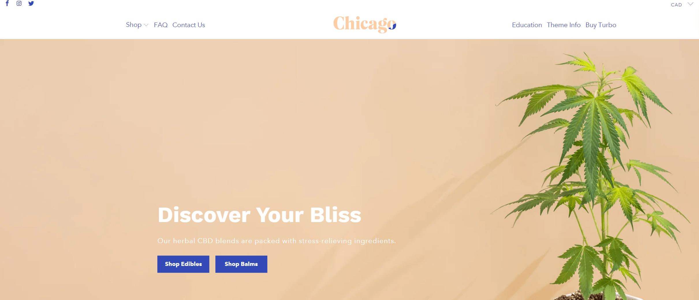 Chicago style turbo theme