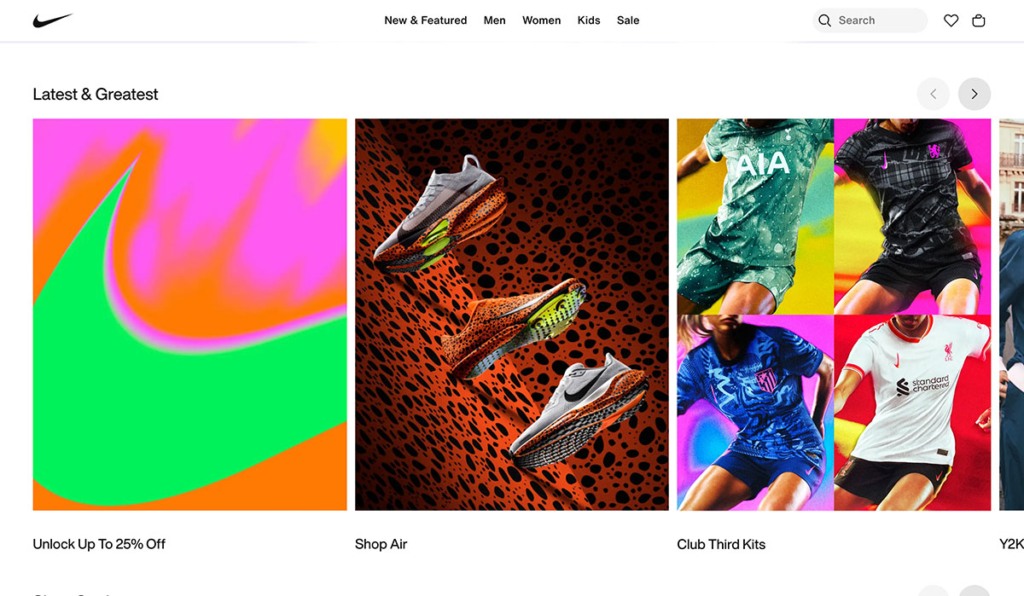 nike website example