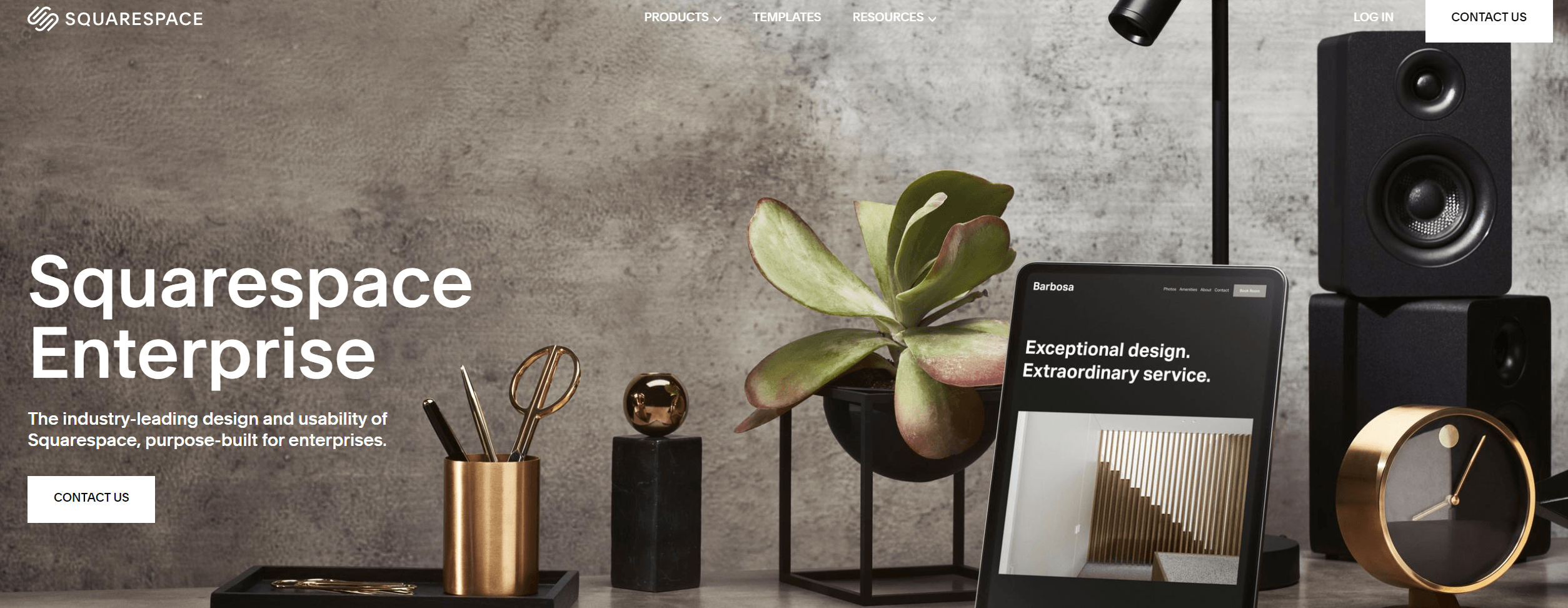 A plant in a pot on a table Description automatically generated