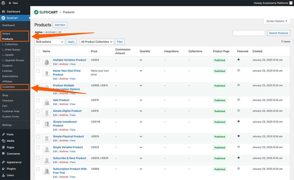 4. Step 1- Audit Your SureCart Dat