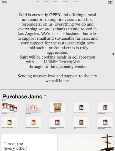 eCommerce website: SQIRL