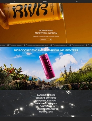 eCommerce website: RIVR