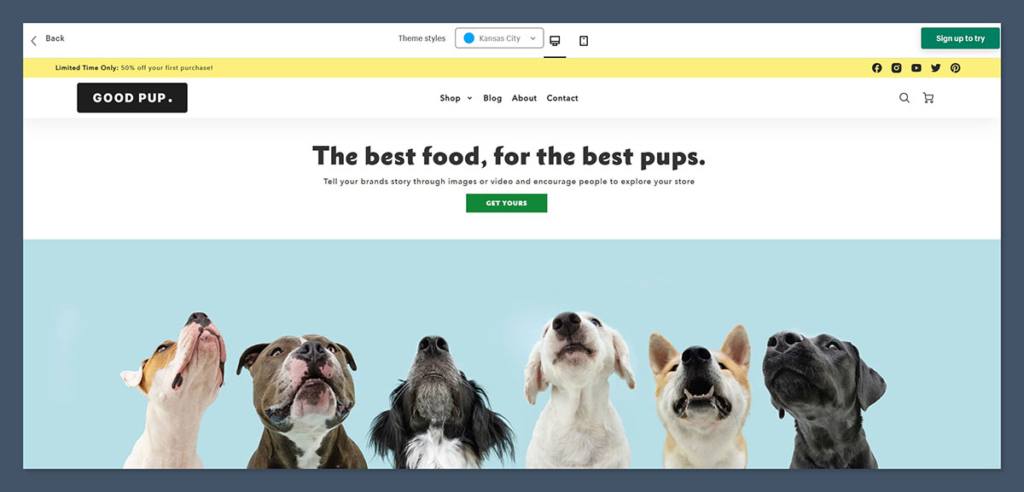 Preview Kansas City Theme