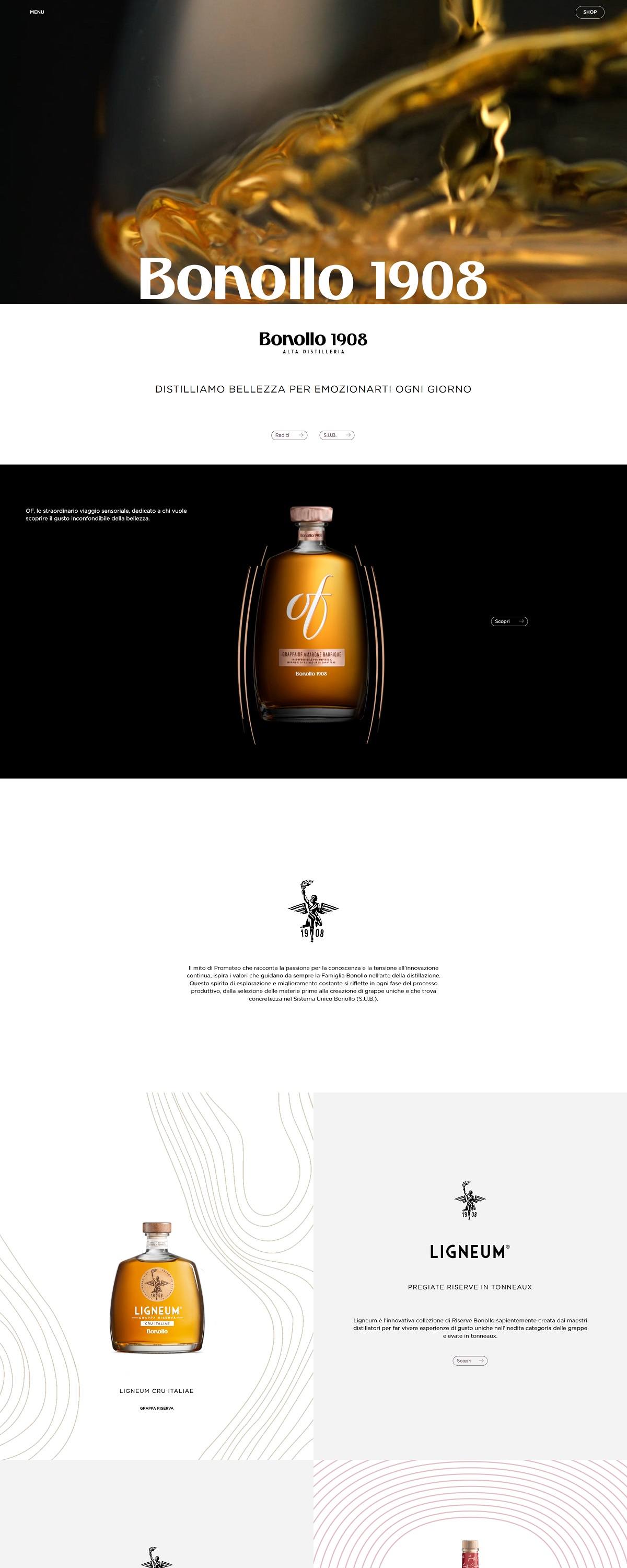 eCommerce website: Bonollo