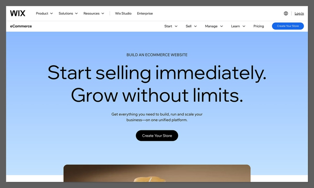 wix homepage ecommerce