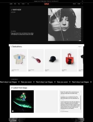 eCommerce website: Lady Gaga