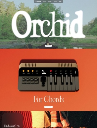 eCommerce website: Telepathic Instruments