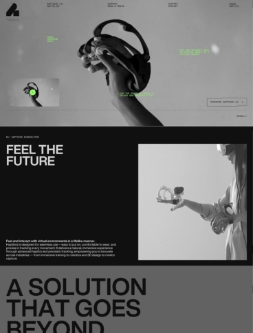 eCommerce website: Haptiko